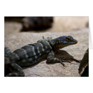 Petrosaurus thalassinus