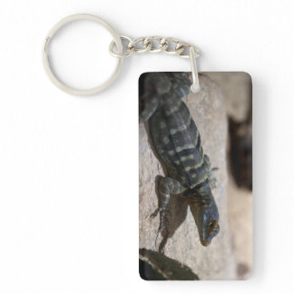 Petrosaurus thalassinus keychain