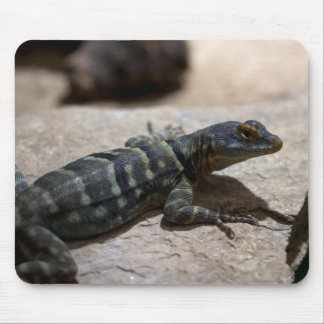 Petrosaurus thalassinus mouse pad