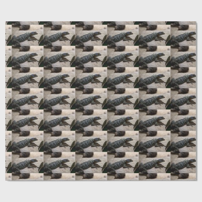 Petrosaurus thalassinus wrapping paper (Flat)