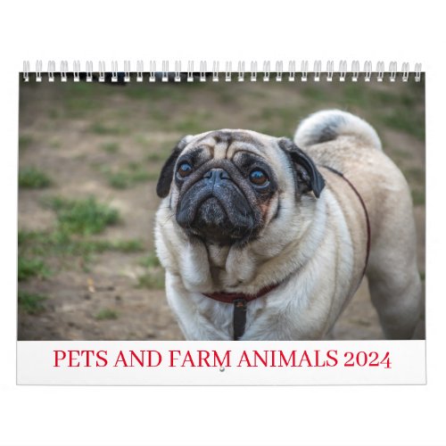 Pets and farm animals 2024 calendar