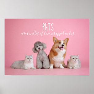 Pets Are Bundles Of Love // Cats And Dogs Photo Poster