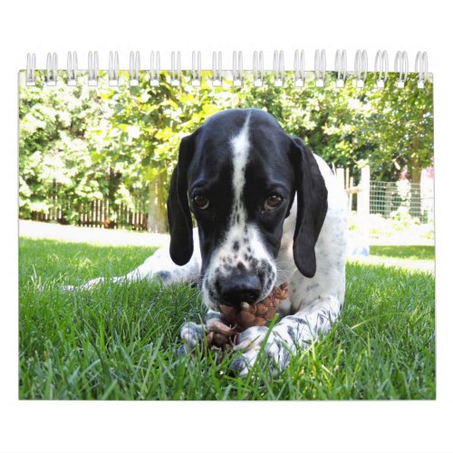 Pets Calendar