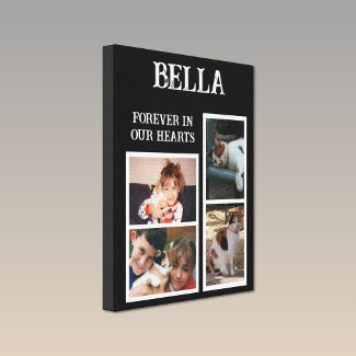 Pets cat 4 photo collage memories white black