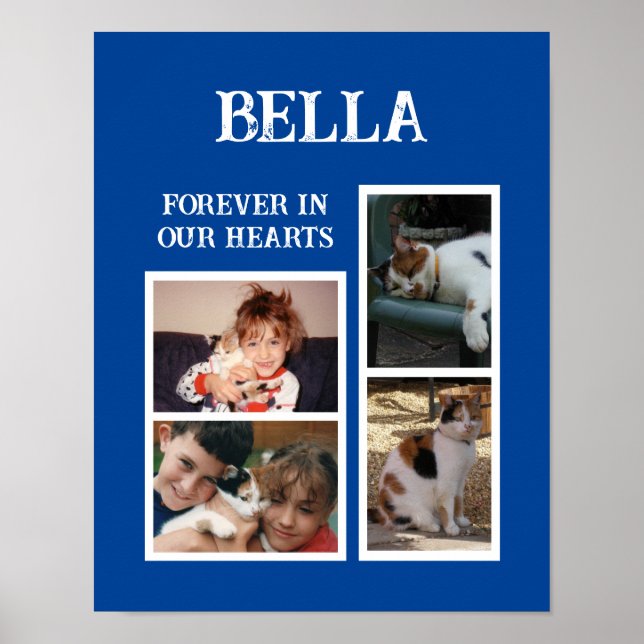 Pets cats 4 photo collage add name blue poster (Front)