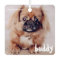 Pet's Christmas Simple Cute Happy Holiday Greeting
