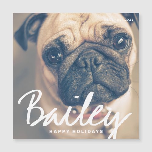 Pets Christmas Simple Happy Holiday Greeting Card