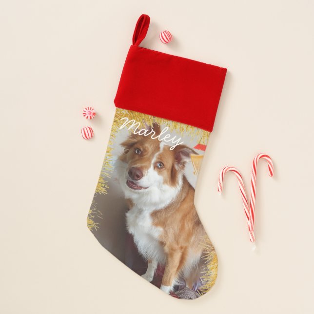 Pet's Custom Photo/ Name Christmas Stocking (Front)