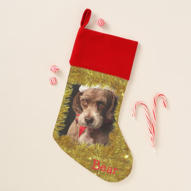Pet's Custom Photo/ Name Christmas Stocking (Front)