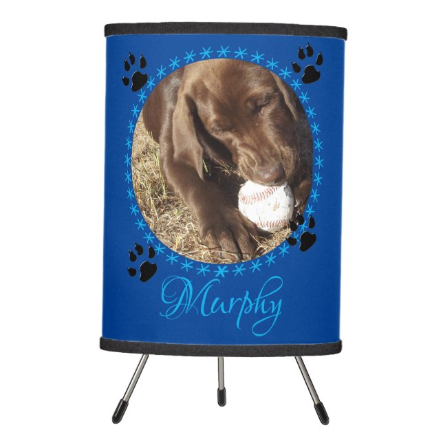 Pet's Custom Power Bank (blue/blue with paws) Tripod Lamp (Front)