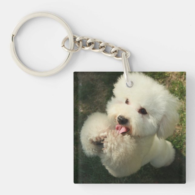 Pets, Dog, Poodle Keychain (Front)