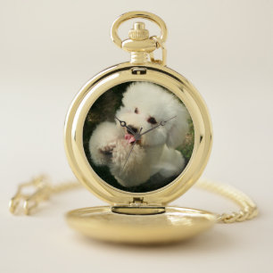 Pets, Dog, Poodle Pocket Watch