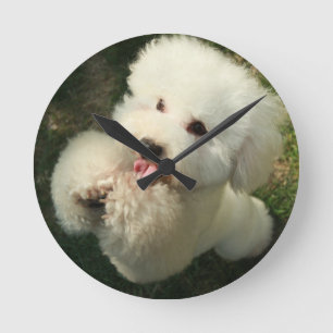 Pets, Dog, Poodle Round Clock