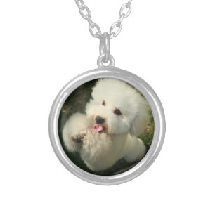 Pets, Dog, Poodle Silver Plated Necklace