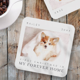 Pet&#39;s First Christmas In Forever Home Modern Chic Beverage Coaster