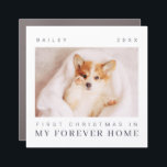 Pet's First Christmas In Forever Home Modern Chic Car Magnet<br><div class="desc">Design is composed of modern chic typography with sans serif and serif font. Add a custom photo of adopted pet and year.</div>