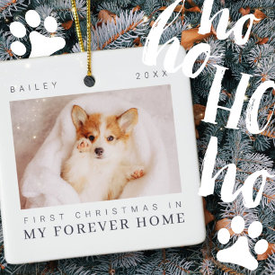 Pet's First Christmas In Forever Home Modern Chic Ceramic Ornament
