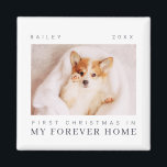 Pet's First Christmas In Forever Home Modern Chic Magnet<br><div class="desc">Design is composed of modern chic typography with sans serif and serif font. Add a custom photo of adopted pet and year.</div>