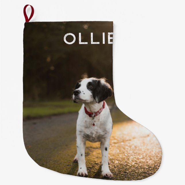 Pet's First Christmas Photo Large Christmas Stocki Large Christmas Stocking (Front)