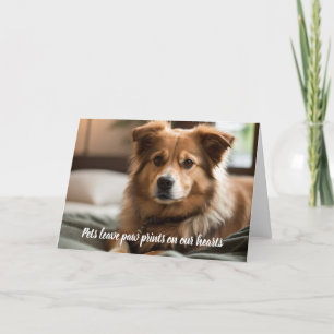 Pets leave paw prints on our heart holiday card