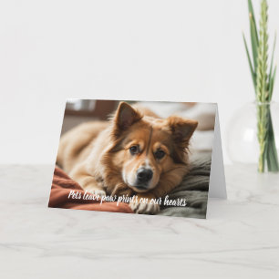 Pets leave paw prints on our heart v3 holiday card