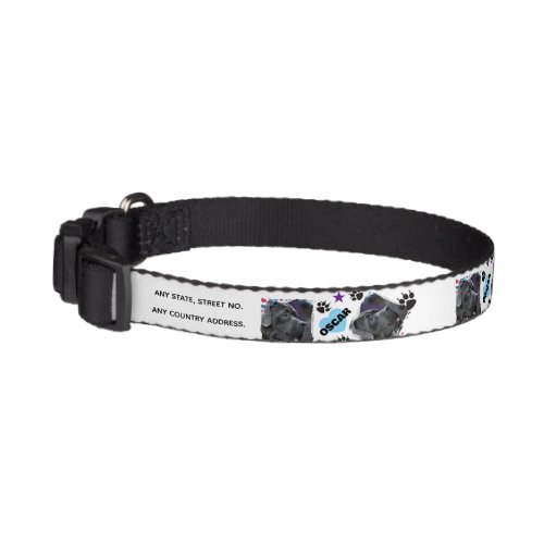 PETS LOVER TRENDY MODERN NAME,PHOTO PET COLLAR