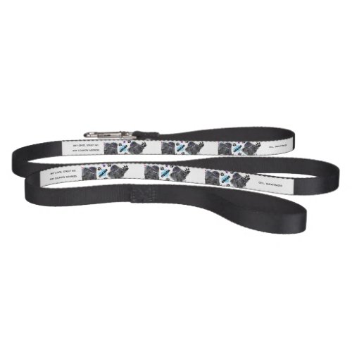 PETS LOVER TRENDY MODERN NAME,PHOTO PET LEASH