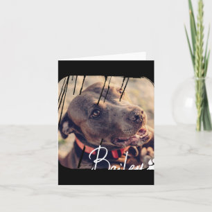 Pets Modern Simple Cool Nge Name And Photo Card