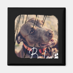 Pets Modern Simple Cool Nge Name And Photo Magnet