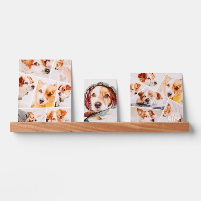 Pets Modern Simple Custom 14 Images Photo Collage Picture Ledge (Front)