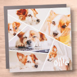 Pets Modern Simple Custom 6 Images Collage Photo Car Magnet<br><div class="desc">This simple and modern design is composed of sans serif typography. Add custom pet photo.</div>