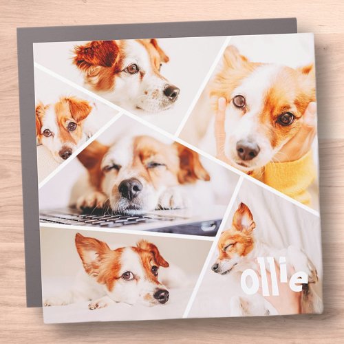 Pets Modern Simple Custom 6 Images Collage Photo Car Magnet