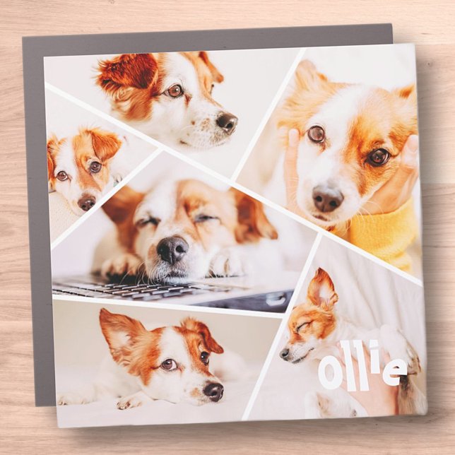 Pets Modern Simple Custom 6 Images Collage Photo Car Magnet (Creator Uploaded)