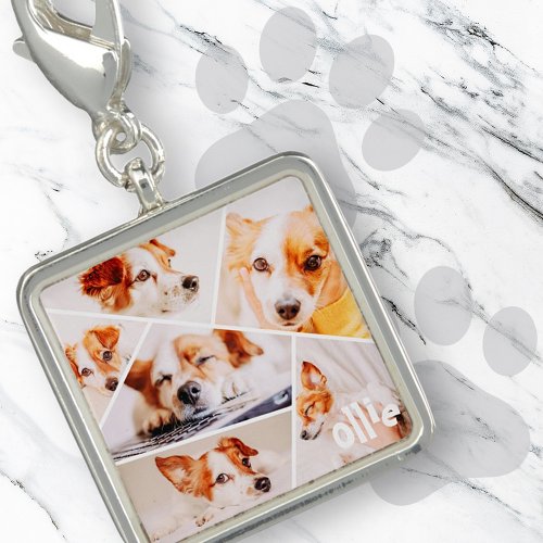Pets Modern Simple Custom 6 Images Collage Photo Charm