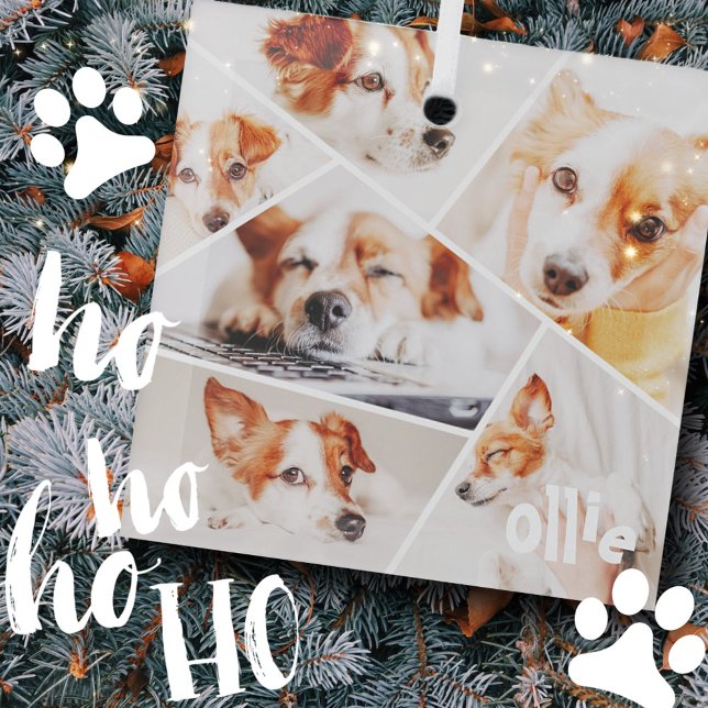 Pets Modern Simple Custom 6 Images Collage Photo Glass Ornament (Creator Uploaded)