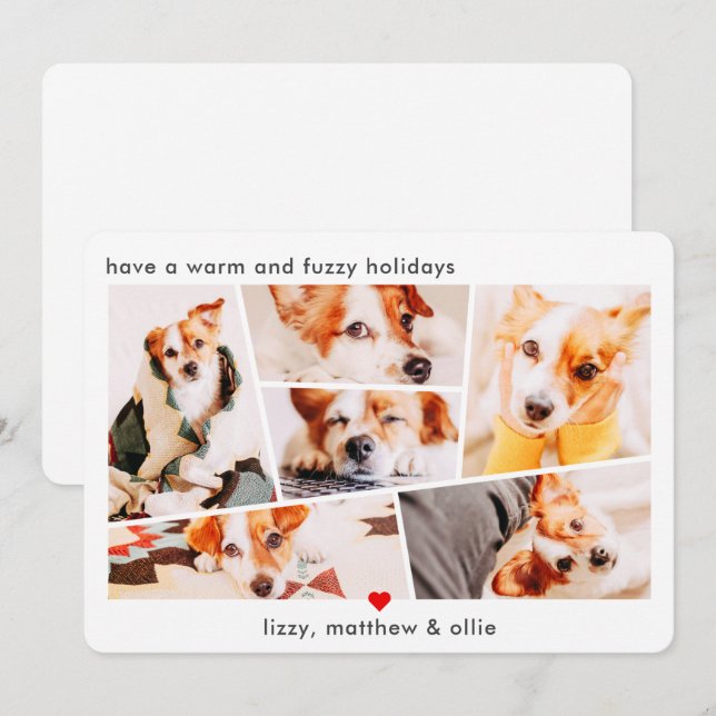Pets Modern Simple Custom 6 Images Collage Photo Holiday Card (Front/Back)