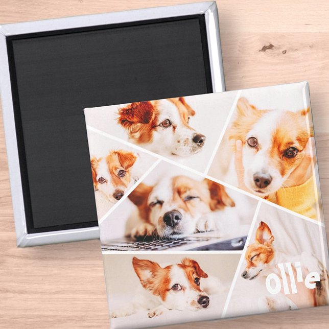 Pets Modern Simple Custom 6 Images Collage Photo Magnet (Creator Uploaded)
