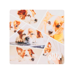 Pets Modern Simple Custom 6 Images Collage Photo Metal Print