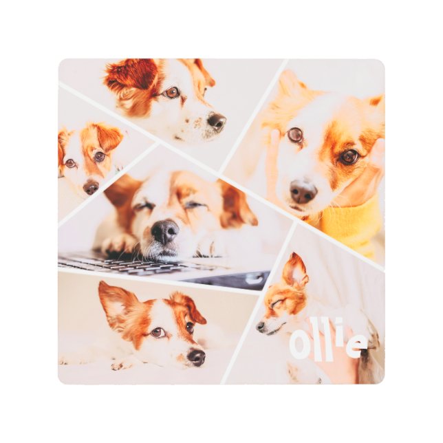 Pets Modern Simple Custom 6 Images Collage Photo Metal Print (Front)