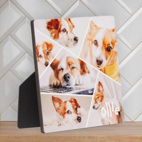Pets Modern Simple Custom 6 Images Collage Photo Plaque