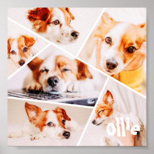 Pets Modern Simple Custom 6 Images Collage Photo Poster