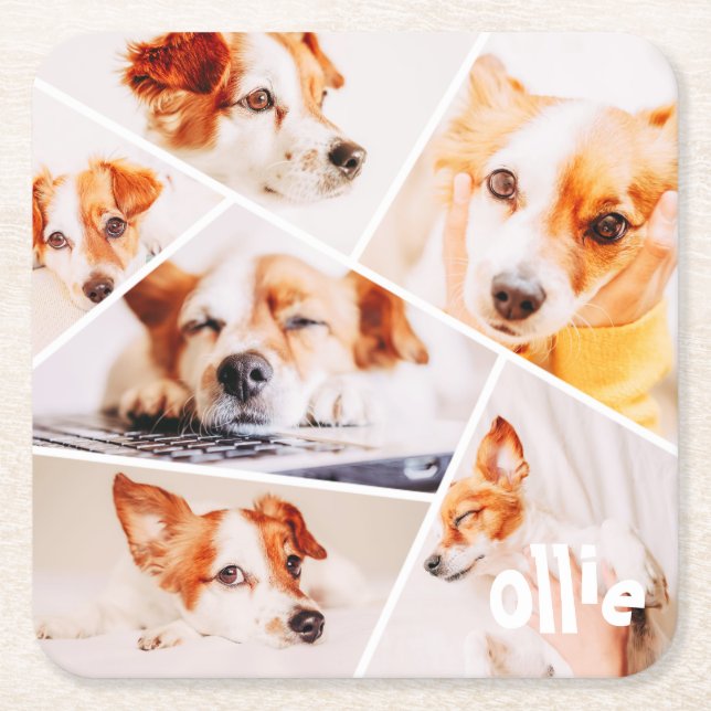 Pets Modern Simple Custom 6 Images Collage Photo Square Paper Coaster (Front)