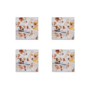 Pets Modern Simple Custom 6 Images Collage Photo Stone Magnet