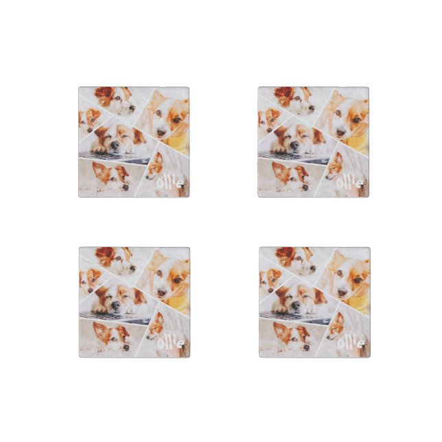 Pets Modern Simple Custom 6 Images Collage Photo Stone Magnet (Front)