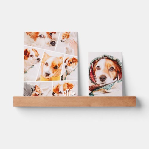Pets Modern Simple Custom 8 Images Photo Collage Picture Ledge