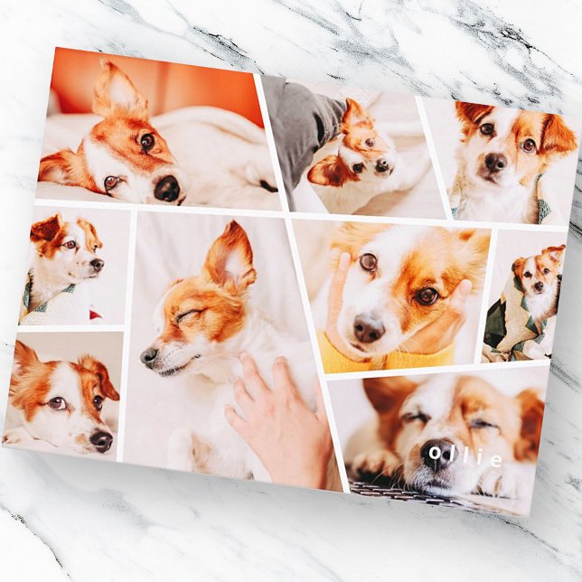 Pets Modern Simple Custom 9 Images Collage Photo Announcement Postcard (Creator Uploaded)