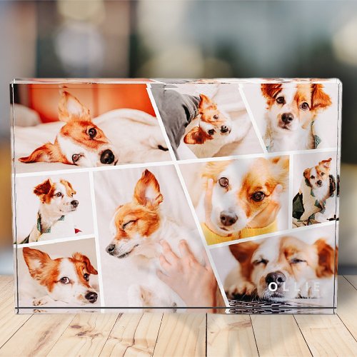 Pets Modern Simple Custom 9 Images Collage Photo Block