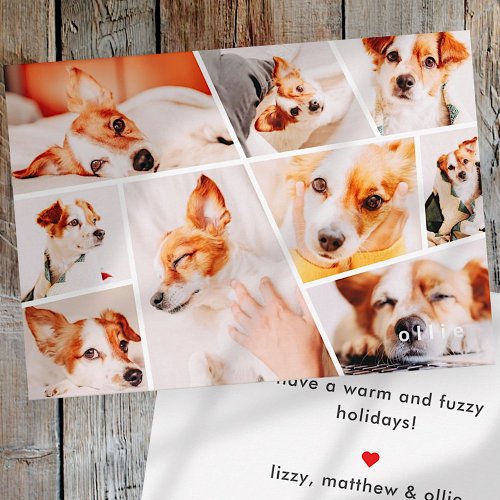Pets Modern Simple Custom 9 Images Collage Photo Holiday Card