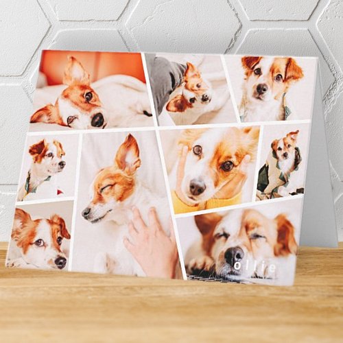 Pets Modern Simple Custom 9 Images Collage Photo Note Card