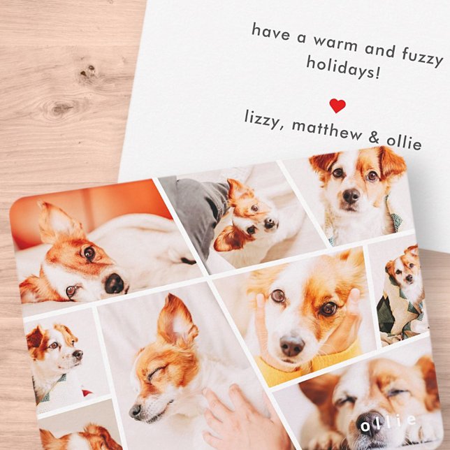 Pets Modern Simple Custom 9 Images Collage Photo Note Card (Creator Uploaded)